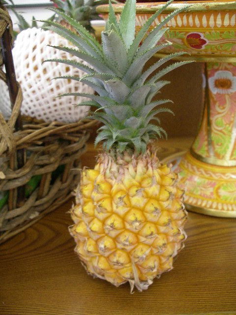 沖縄石垣島産 スナックパイン ちぎって食べるパイナップル フルッティア こだわりフルーツ 手作りスイーツ専門店