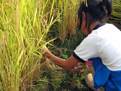 �ڰ˺�����ǯ�����ΰ𴢤��ư�襢�åפ��ޤ������ۡ�����