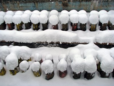 ����ιߤ롪�ߤ롪�ߤ롪�ޤ��ۡ�����