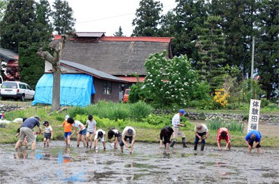 �ڤҤʤ�¼���θ��Ŀ������Ԥ��ޤ����ۡ�����