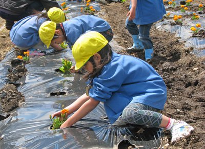 �ڲ֤��äѤ��ˤʤ��졪��2010�ե��ܥ��ƥ����ۡ�����