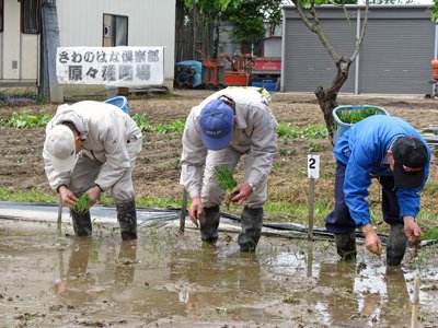 �ڸ��Τ��Ƥ���ΤϤʡ���Һ��ݤΰ٤��Ŀ�����Ԥ��ޤ����ۡ�����