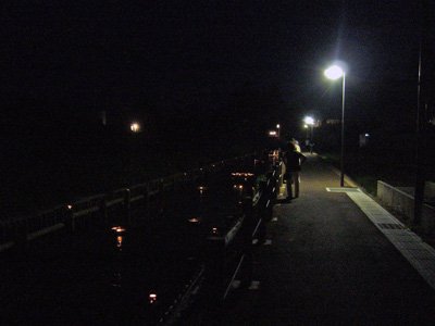 ��Ƶ����饭��������ɥ�ʥ��Ȥ��Ԥ��ޤ����ۡ�����