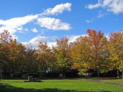 ����ĤĤ�������ڡ������˹��դ��Ƥ��ޤ��ۡ�����