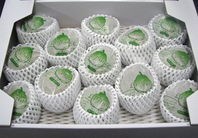 �ڥ顦�ե�󥹤νв٤��褤��Ϥޤ�ޤ������ۡ�����