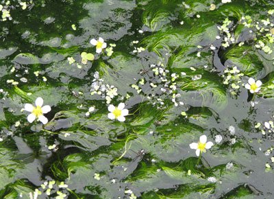 ���߲����ε���⤽�����������Ǥ��ۡ�����