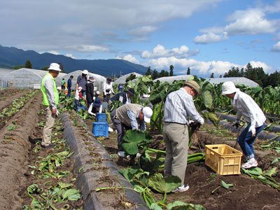 �ڥ��륯���å���󽩤�ι��Τ�򷡤ä�­�ڳ�ƻ���⤭�ޤ����ۡ�����