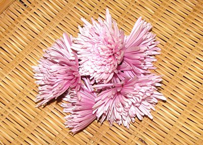 �����Ƥˡ��򹯤ˡ��Ȥ�äƤΤۤ����ɤ����ѵơۡ�����