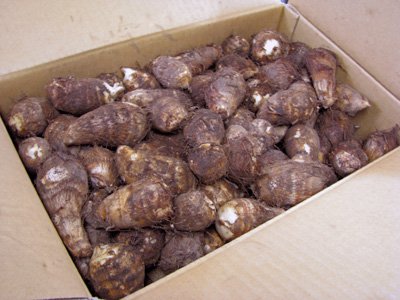 �ڡ��ڤĤ��ɤ����״֤�ʤ��Ϥޤ�ޤ��ġ��ۡ�����