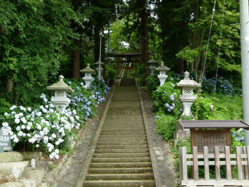 ���־��Ȭ����ȬȨ�� ������Į�ۡ�����