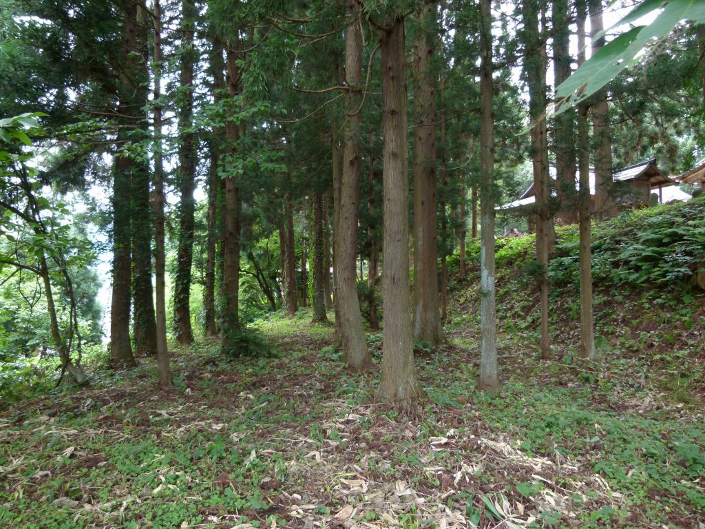 ���־롡���١�������Į�ۡ�����