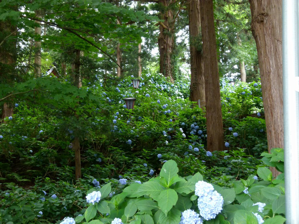 ���־�λ��۲֣���������Į�ۡ�����