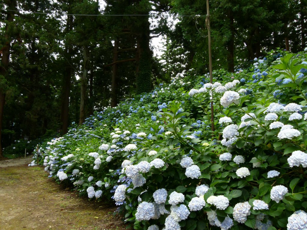 ���־�λ��۲֣���������Į�ۡ�����