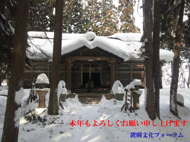 쿷ǯ