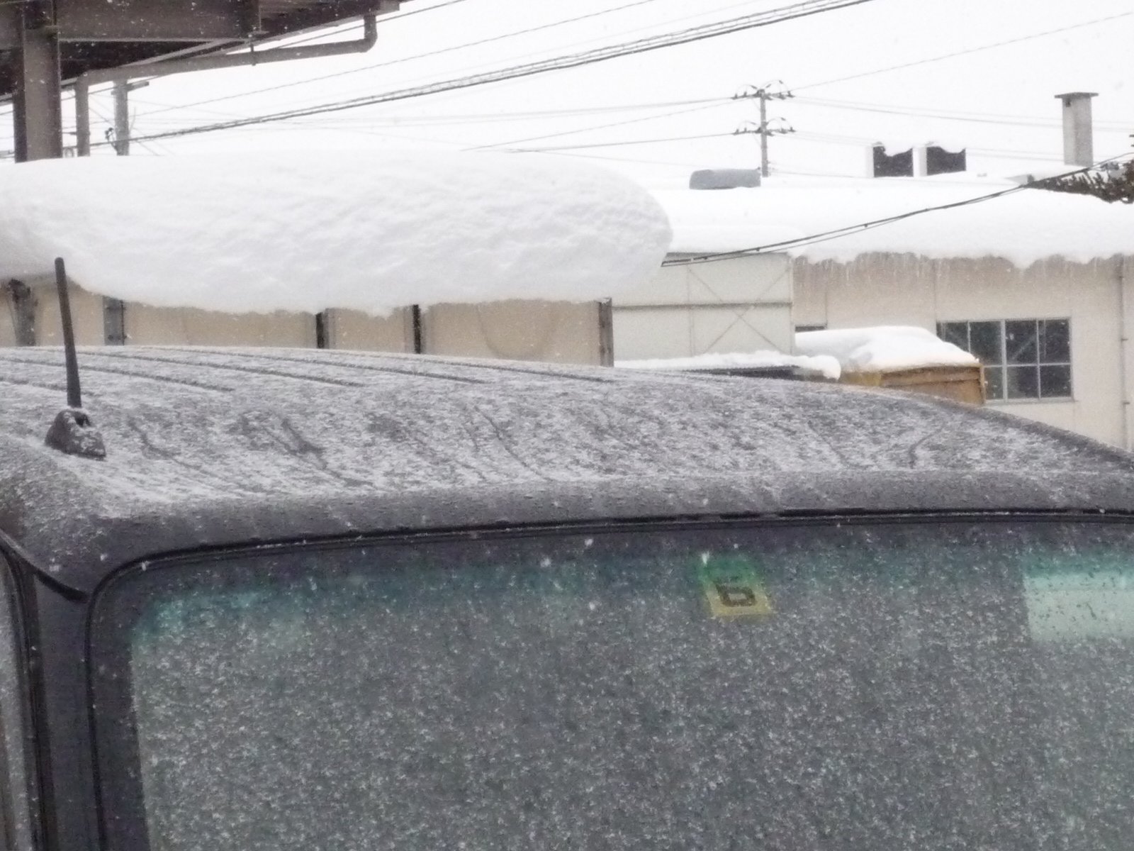 ����å�����������