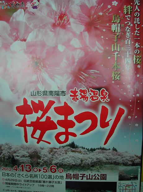「赤湯温泉桜まつり」が開催されます：画像