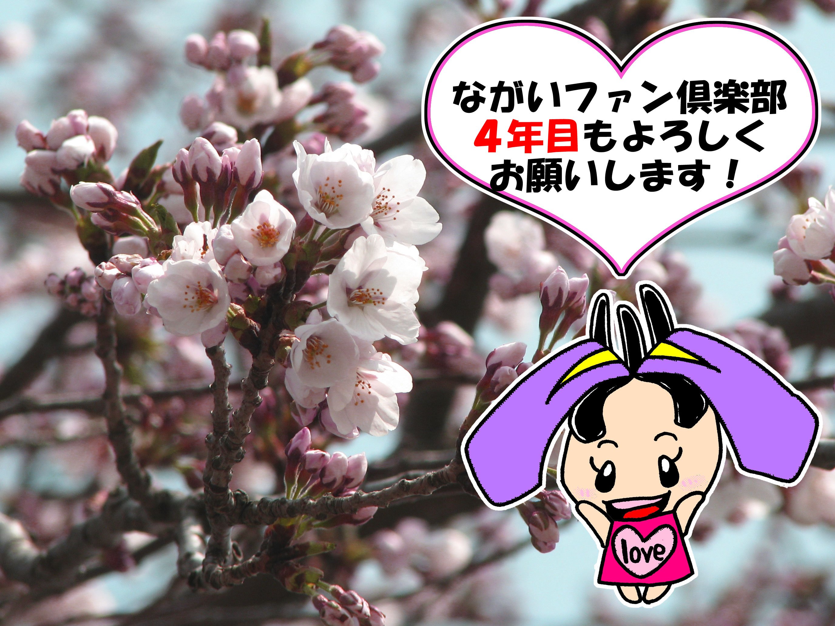 �ڤʤ����ե���������ǯ�ܥ������ȤǤ����ۡ�����