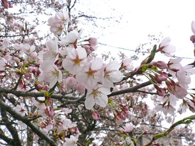 ��*����+*�������̿� ������ *����+*�ۡ�����