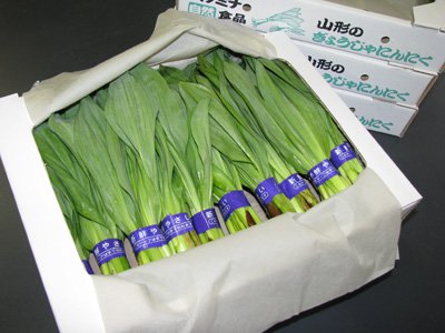 �ڹԼԤˤ�ˤ���ȯ���Ϥޤ�ޤ��������������̿�*����+*�ۡ�����