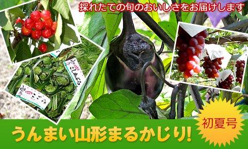 �ڤ���ޤ������ޤ뤫���� ��ƹ�2012�ۡ�����