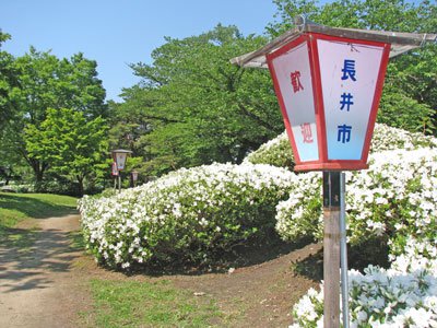 ��5��10��������ĤĤ��ޤĤ곫�ŤǤ��ۡ�����