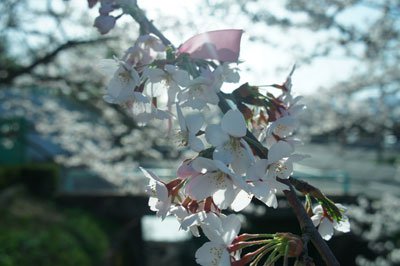 ����*����+*�������̿� ������2012 *����+*�ۡ�����