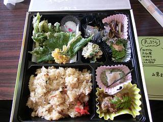 ����ƻ�ϥ������뿩������������������