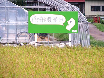 �ھ����ƥץ��������ȡ��Ŀ������Ԥ��ޤ��ۡ�����