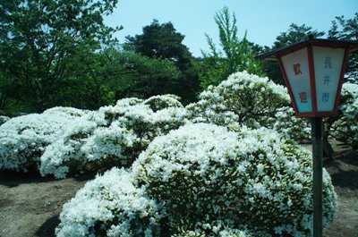 ����ĤĤ����ࡡ�����ˤʤ�ޤ������ۡ�����