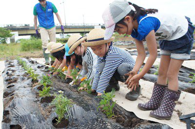 �ڤ��֤����äѤ����ե��ܥ��ƥ�������2012�ۡ�����