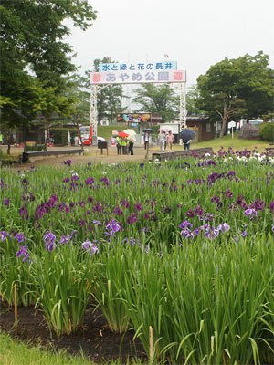 �ڤ����ޤĤ곫�ष�ޤ������ۡ�����