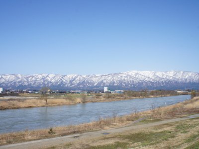 ��Ĺ��Ԥ���˾�ࡡī��Ϣ���ۡ�����