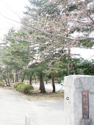 �ں���������������������̿�+��*�ۡ�����