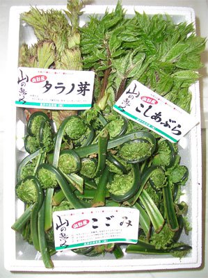 �ڤ⤦�������ڤ��лϤ������Ǥ����������̿�+��*�ۡ�����