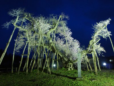 �ڰ˺���ǰ���٤���ε��ݺ����������̿�+��*�ۡ�����