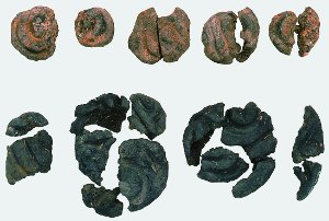 ����ȫ����ˡ���012�桧����