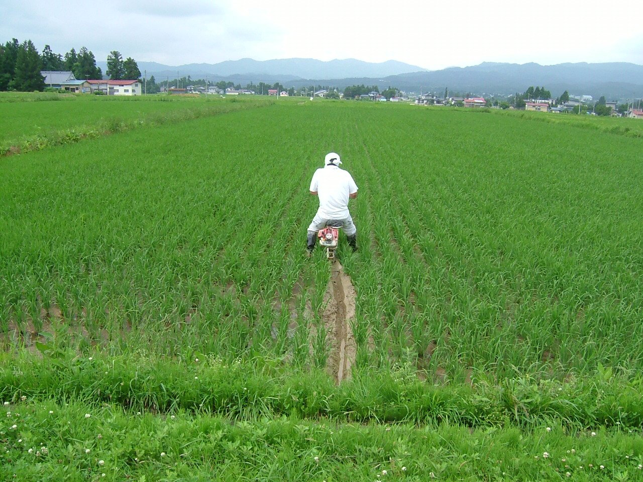 �洳��������ޤ���������