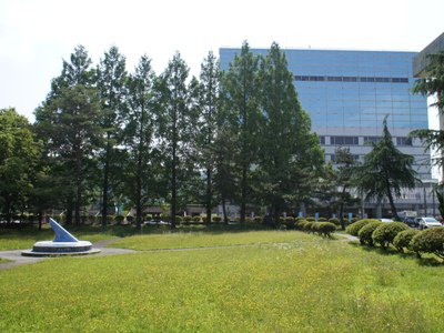 ���ä����ˤʤä��᥿��������ۡ�����