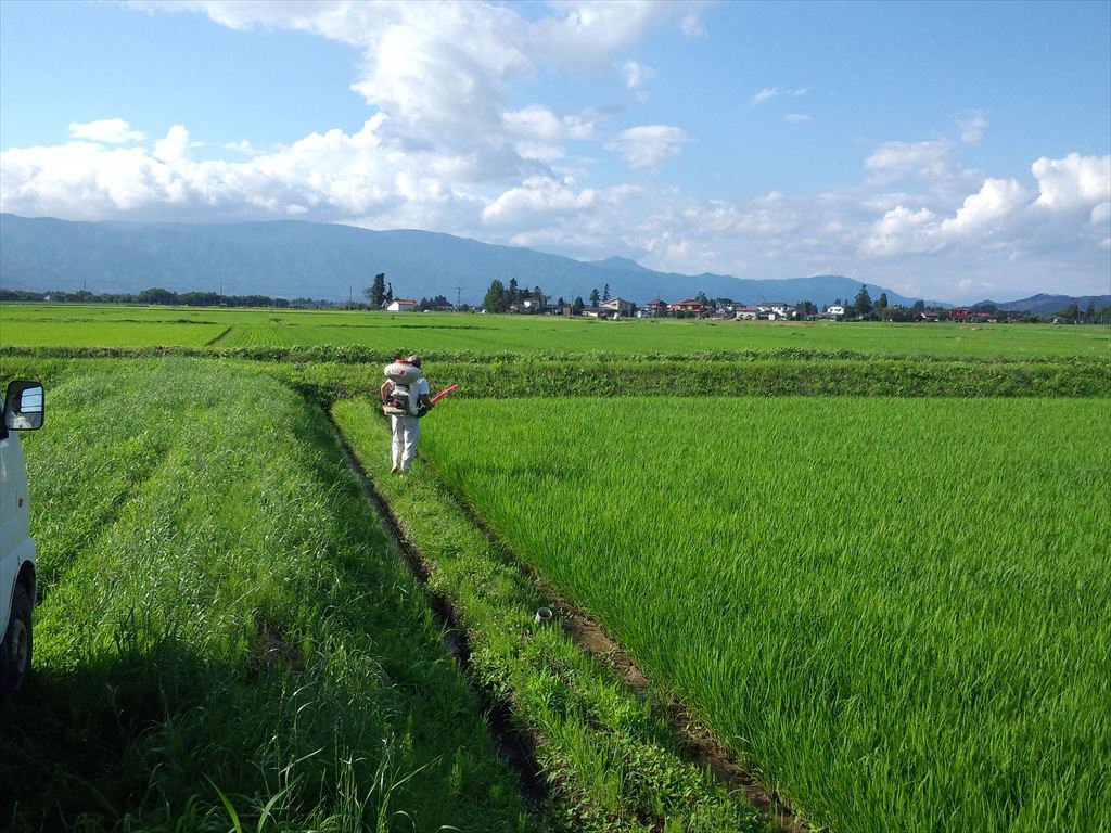 �������