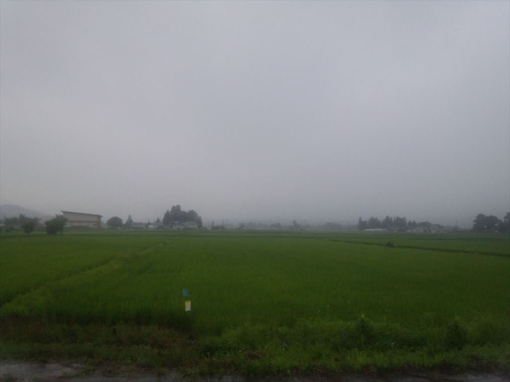 ������Ǥ��𴢤ꡧ����