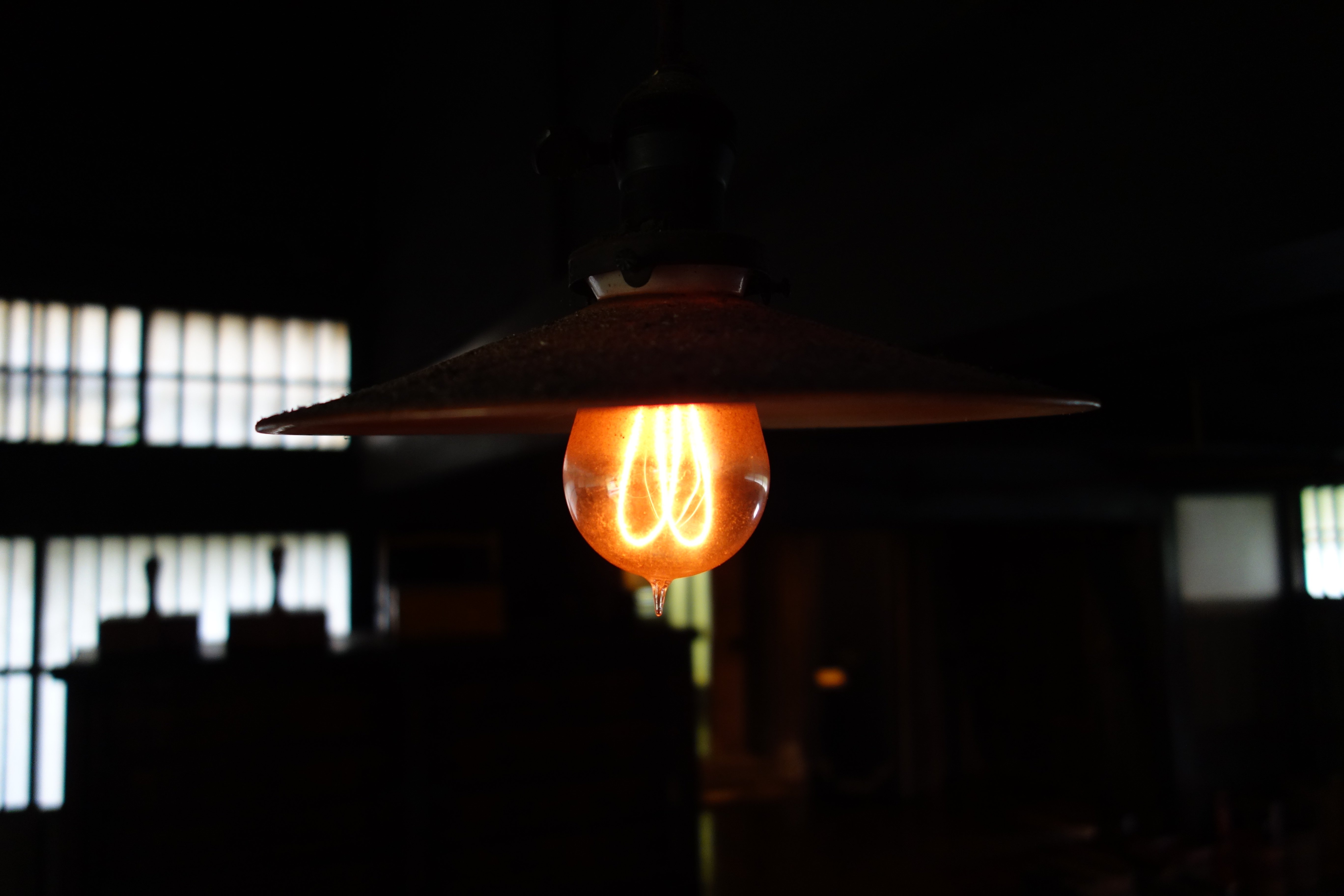 Ĺ�桡������ʪ�졧����