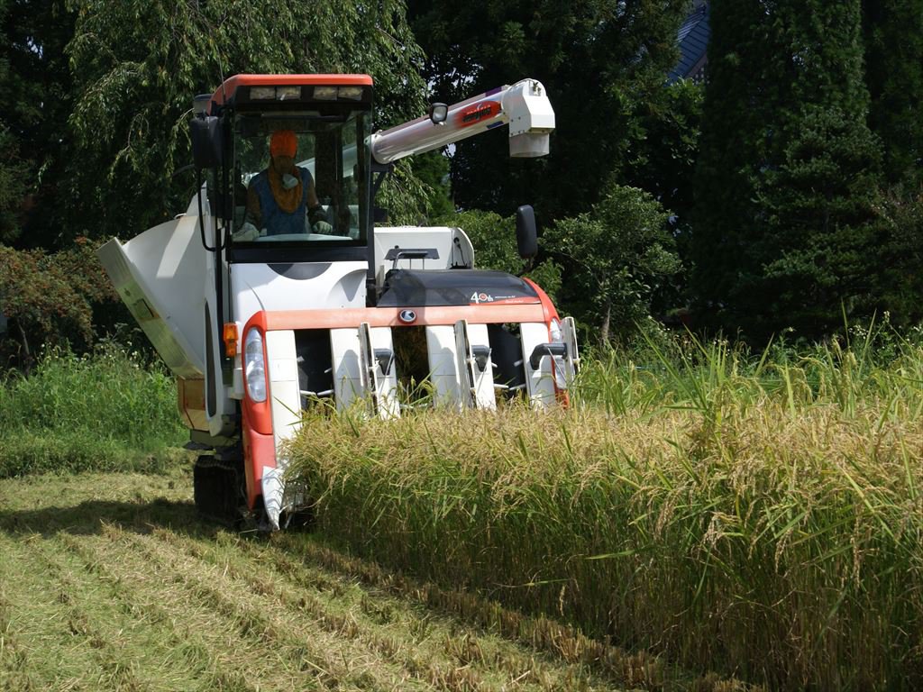 ���ϳ��ϡ�����