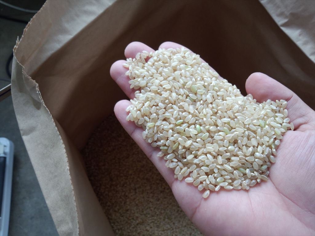 ���Ƥδ���Ȥ�ߤ��ꡧ����