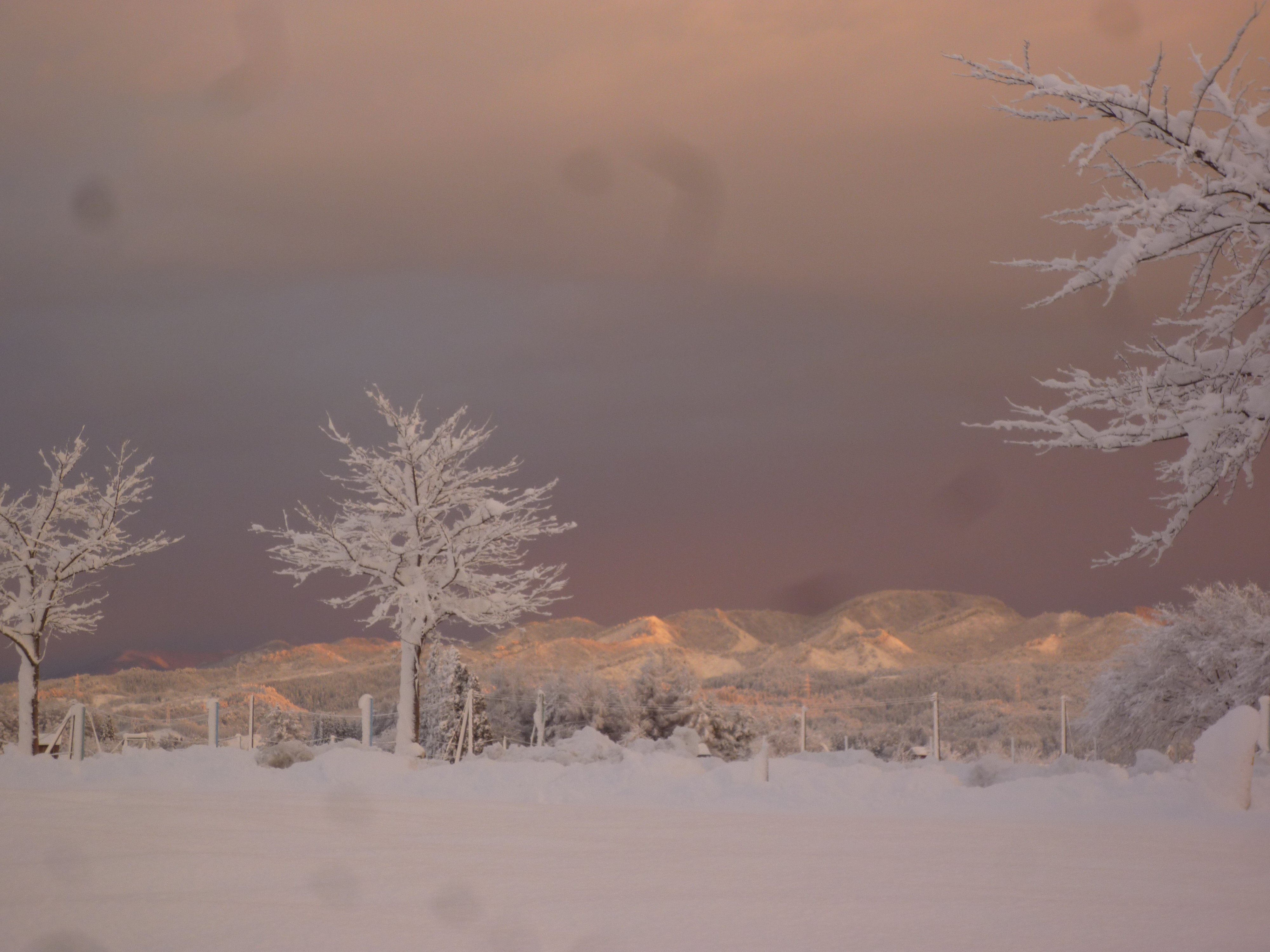 本場の雪景色：画像