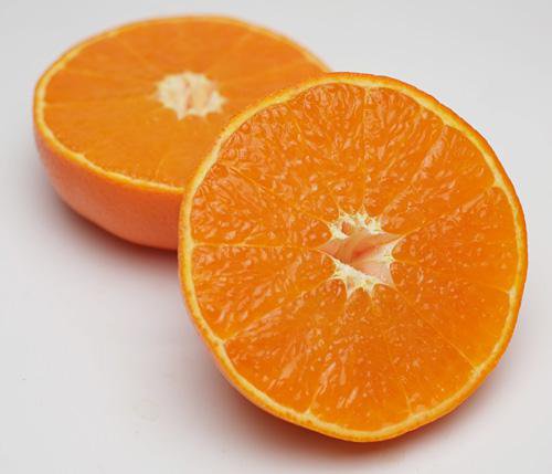 �ڤˤ��ˤ��ե롼�����ŵ����ȡʤ줤�����ˡ��̿�