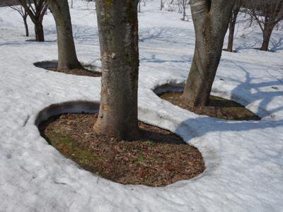 �������νդ�õ���ơۡ�����