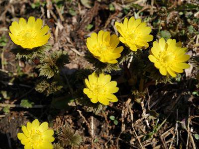 ��ʡ���𡢸��Ĥ������ۡ�����