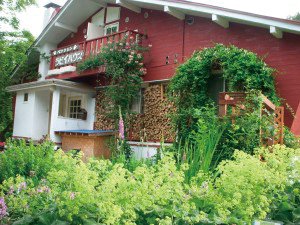 ���ե��ƥ饹����ӥ��ϥ���������