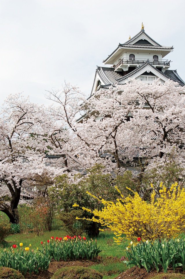 �廳�롧����