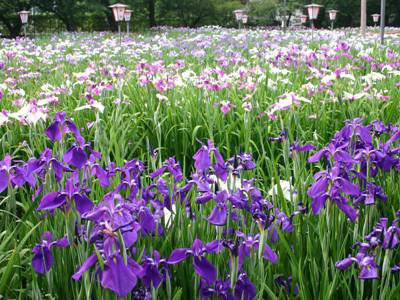 ����ĤĤ��μ��ϡ֤����סۡ�����